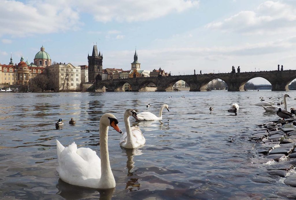 Insider Tips for Exploring Prague: Your Ultimate Travel Guide