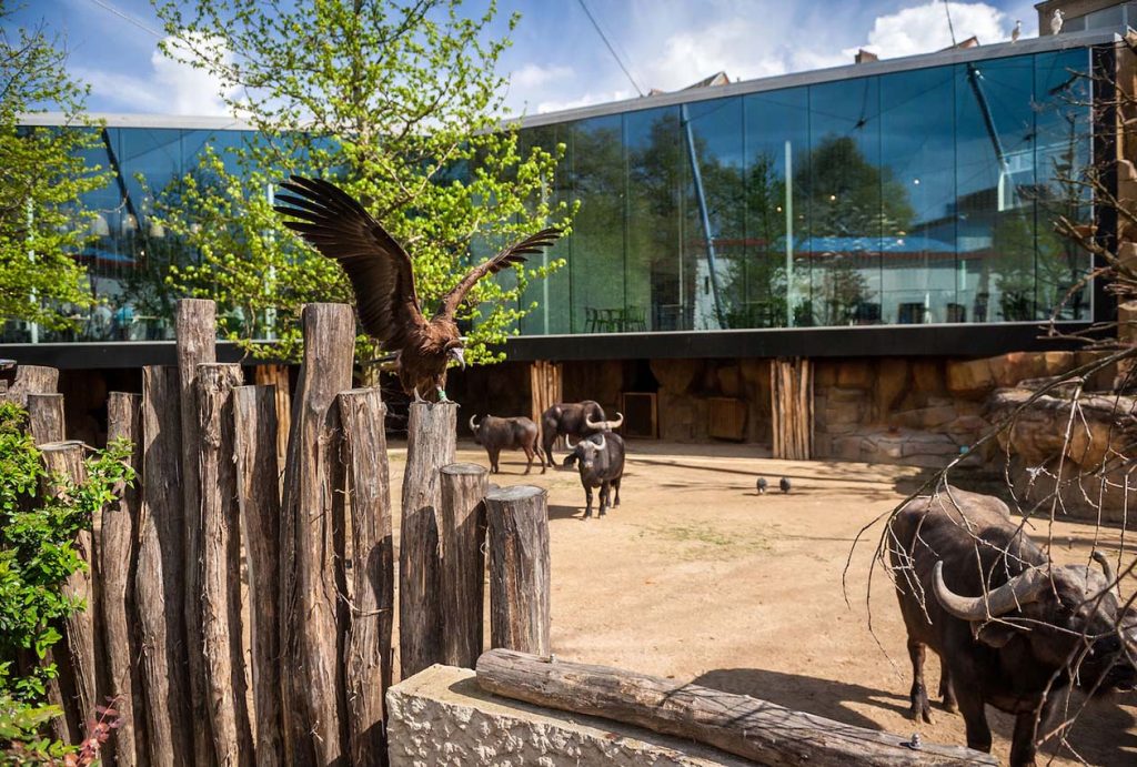 Antwerp Zoo: The Ideal Family Retreat