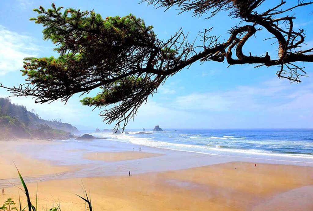 Unveiling the Coastal Wonders: A Full-Day Escapade on the Oregon Coast from Portland