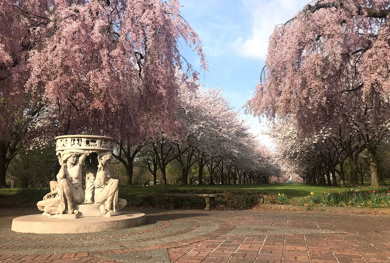 Avoid the Crowds: Philadelphia’s Undiscovered Attractions and Best Photo Spots