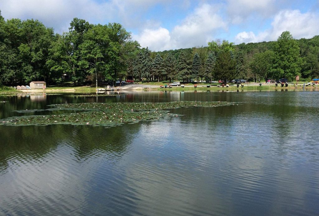 Close to Nature: Camping and Wilderness Adventure Experiences in the Suburbs of Philadelphia