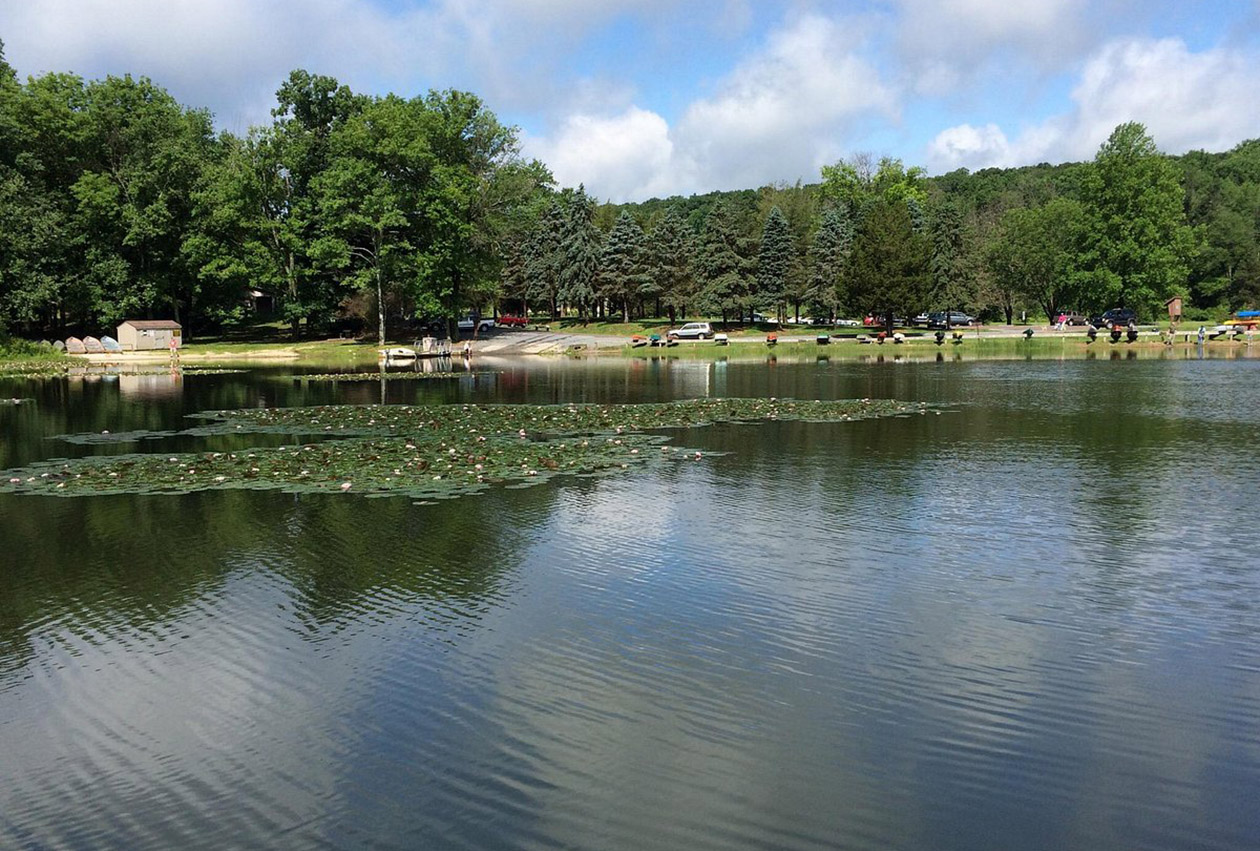 Close to Nature: Camping and Wilderness Adventure Experiences in the Suburbs of Philadelphia